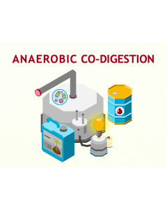 Anaerobic Co-Digestion PPT Slide 1