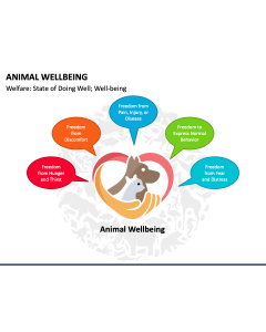 Animal Wellbeing PPT Slide 1
