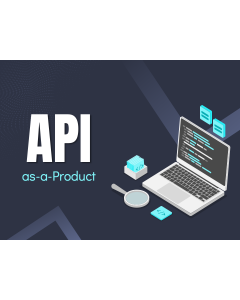 API-as-a-Product PPT Thumbnail