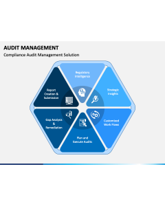 Audit Management PPT Slide 1