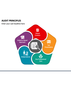 Audit Principles PPT Slide 1