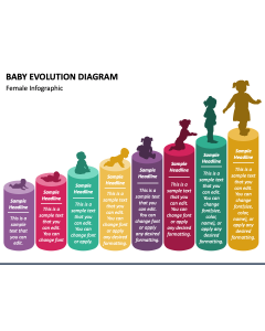 Baby Evolution Diagram PPT Slide 1