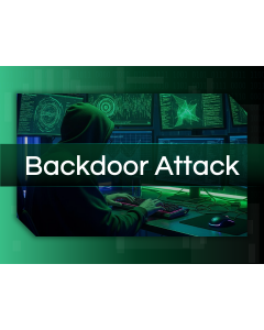 Backdoor Attack PPT Thumbnail