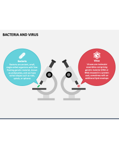 Bacteria and Virus PPT Slide 1