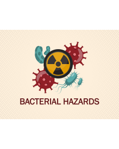 Bacterial Hazards PPT Slide 1