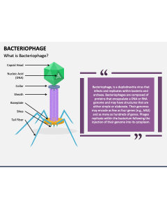 Bacteriophage PPT Slide 1