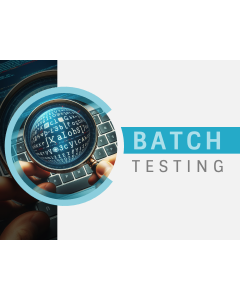 Batch Testing PPT Slide 1