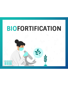 Biofortification PPT Thumbnail