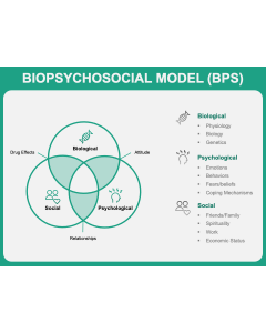 Biopsychosocial Model PPT Thumbnail