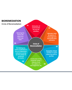 Bioremediation PPT Slide 1