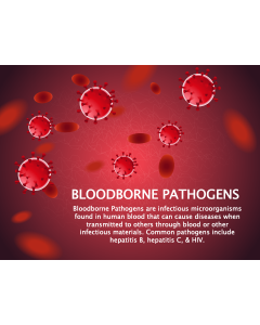 Bloodborne Pathogens PPT Slide 1
