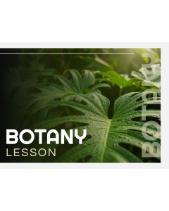 Botany Lesson Presentation PPT Thumbnail