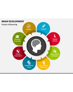 Brain Development PPT Slide 1