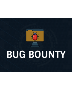 Bug Bounty PPT Slide 1