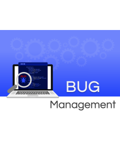 Bug Management PPT Thumbnail