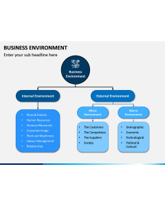 Business Environment PPT Slide 1