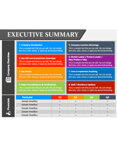 Business Executive Summary PPT Slide 1