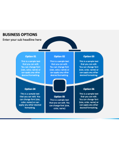 Business Options PPT Slide 1
