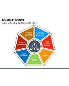 Business Structure PPT Slide 1