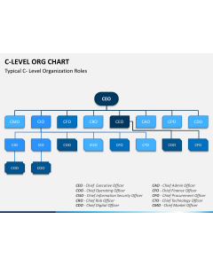 C Level ORG Chart PPT Slide 1