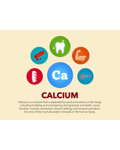 Calcium PPT Slide 1