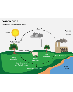 Carbon Cycle PPT Slide 1