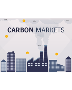 Carbon Markets PPT Slide 1