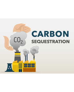 Carbon Sequestration PPT Slide 1