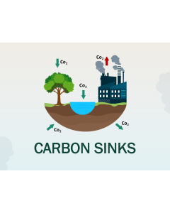 Carbon Sinks PPT Slide 1
