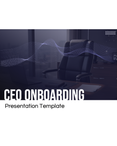 CEO Onboarding