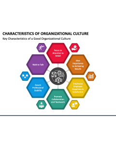 Characteristics of Organizational Culture PPT Slide 1