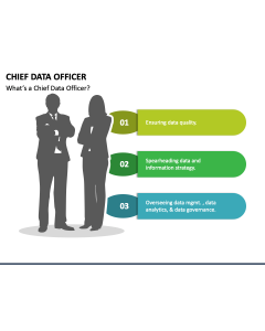 Chief Data Officer PPT Slide 1