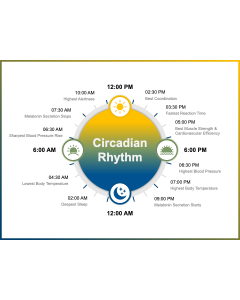 Circadian Rhythm PPT Thumbnail
