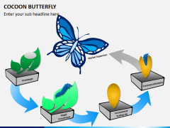 Cocoon butterfly diagram PPT slide 1