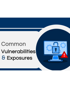 Common Vulnerabilities and Exposures PPT Thumbnail