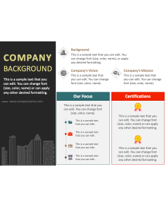 Company Background PPT Slide 1