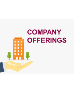 Company Offerings PPT Slide 1