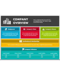 Company Overview PPT Slide 1