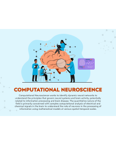 Computational Neuroscience PPT Slide 1