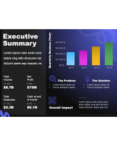 Concise Executive Summary Template PPT Thumbnail