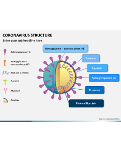 Coronavirus Structure PPT Slide 1