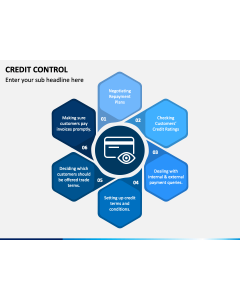 Credit Control PPT Slide 1