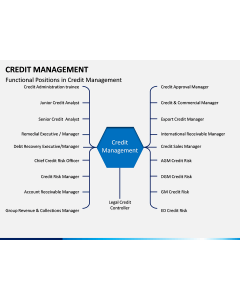 Credit Management PPT slide 2