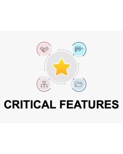 Critical Features PPT Thumbnail