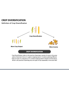 Crop Diversification PPT Slide 1