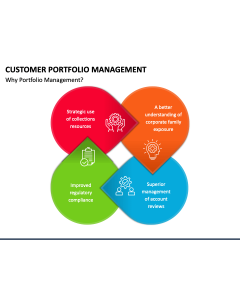 Customer Portfolio Management PPT Slide 1