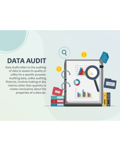 Data Audit PPT Slide 1