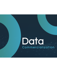 Data Commercialization PPT Thumbnail