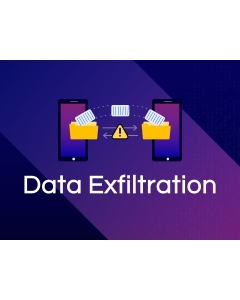 Data Exfiltration PPT Thumbnail