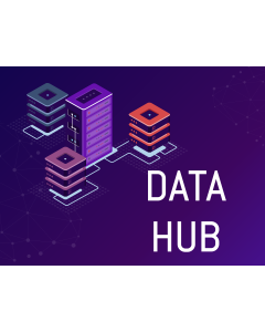 Data Hub PPT Slide 1